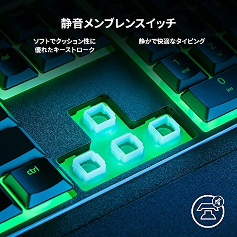 Ornata V3 X 3