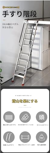 ロフトはしご 2