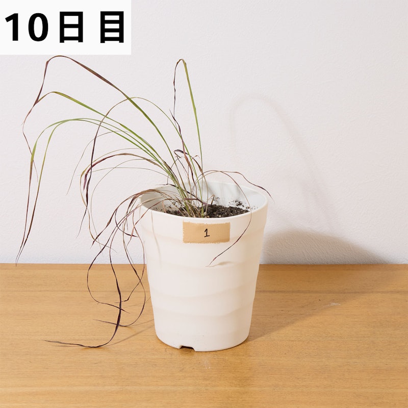 速効除草剤 18