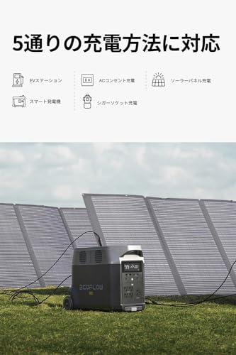  DELTA Pro 7
