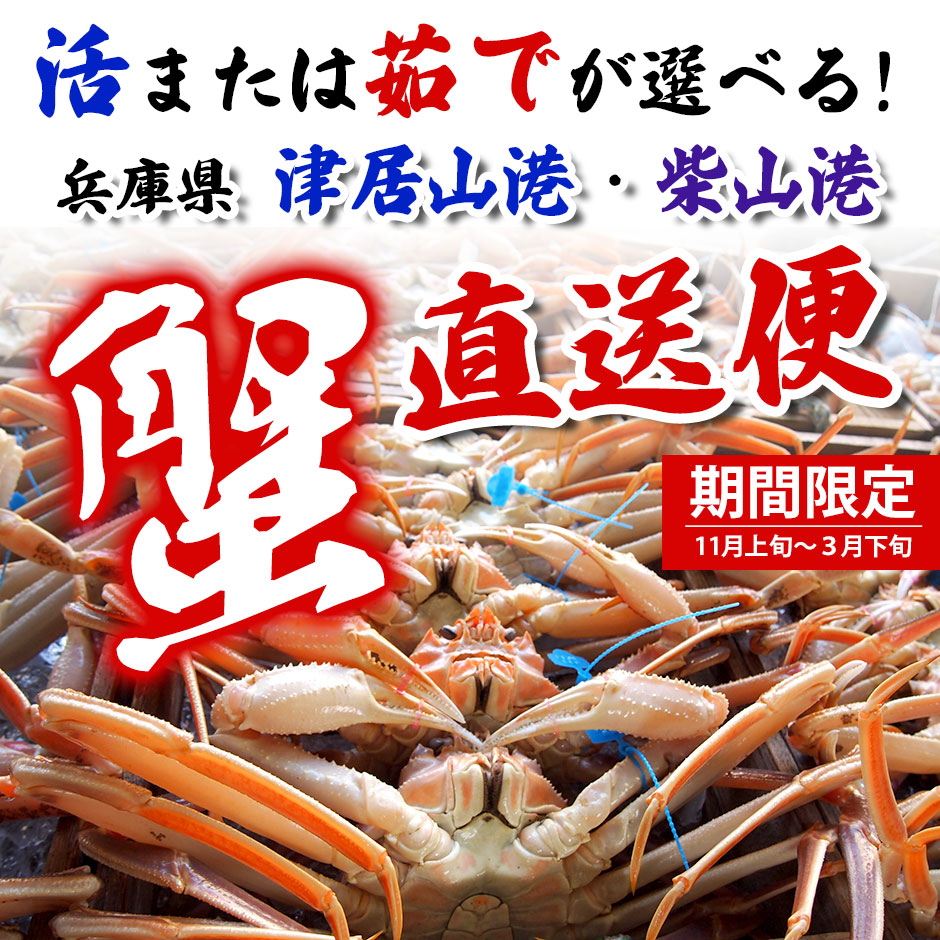兵庫県水揚げ 松葉ガニ 2