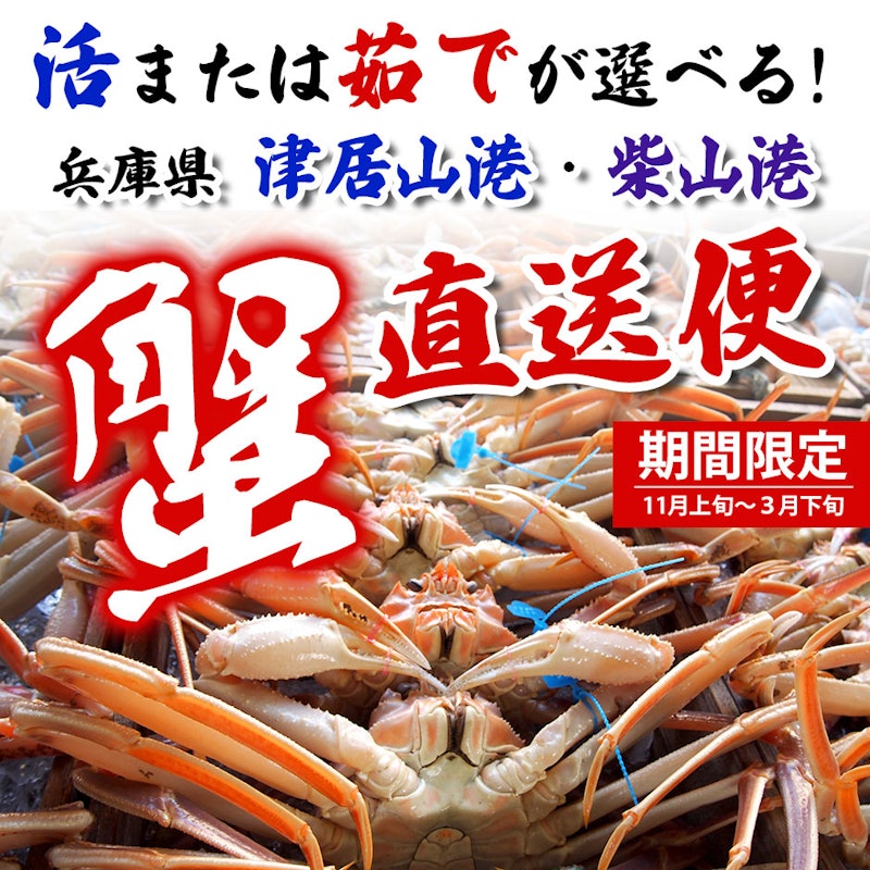 兵庫県水揚げ 松葉ガニ 2