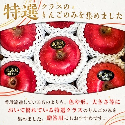 サンふじ 特選贈答用りんご 3