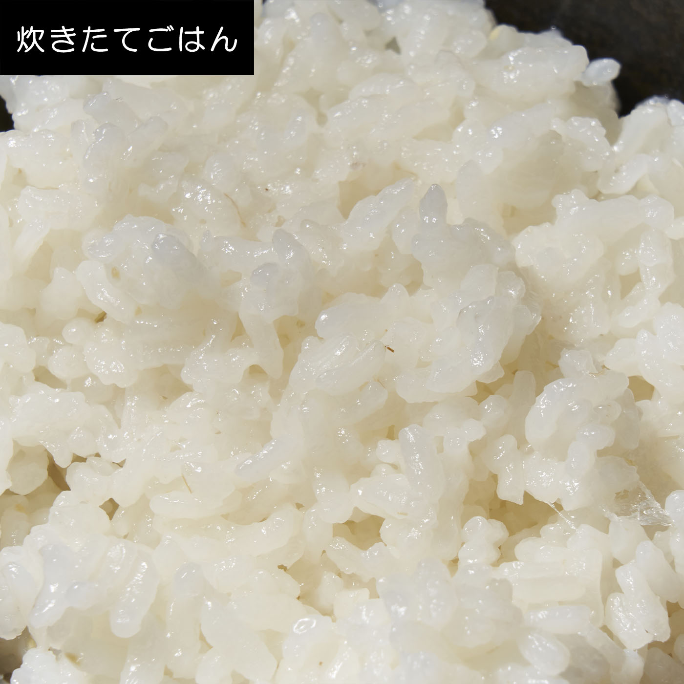 圧力IHジャー炊飯器 ご泡火炊き 10
