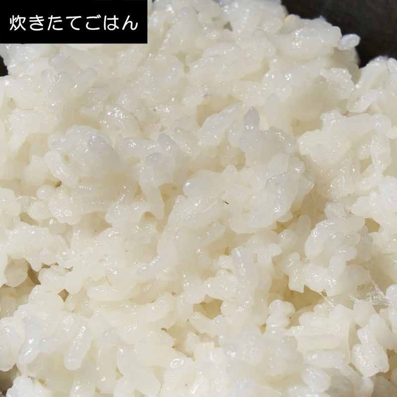 圧力IHジャー炊飯器 ご泡火炊き 10