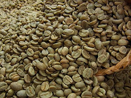 生豆コーヒーコロンビア スプレモ 1