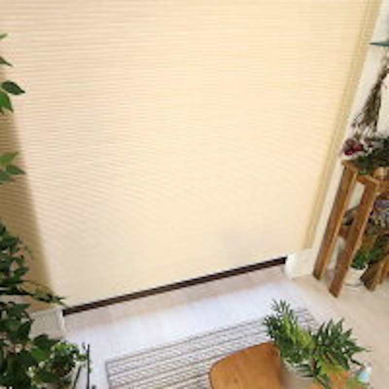 非遮光 ハニカムスクリーン 6