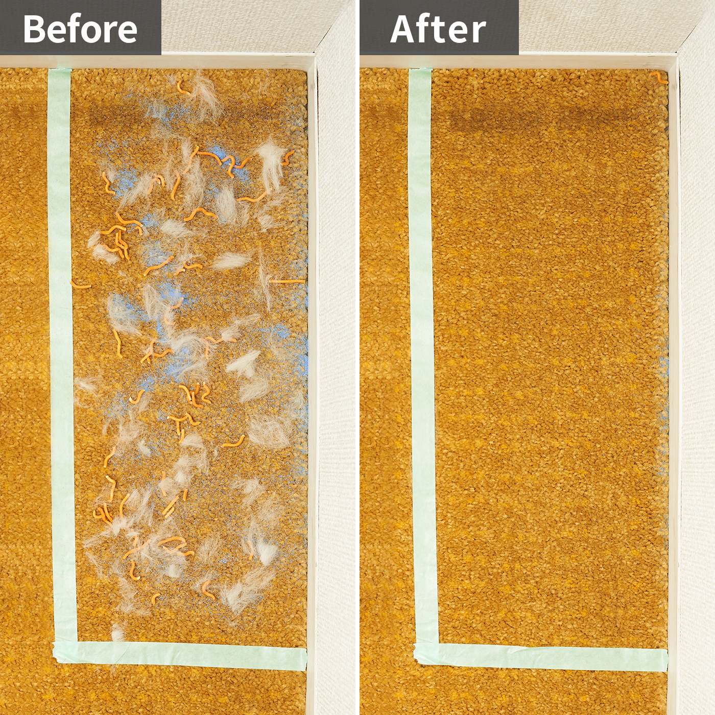 日立グローバルライフソリューションズ HITACHI 紙パック式クリーナー