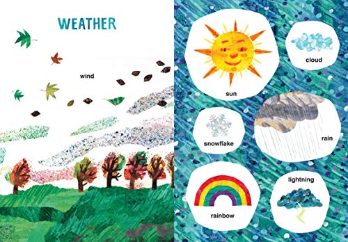 Eric Carle's Book of Many Things (The World of Eric Carle) 3