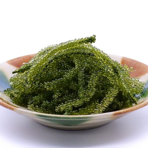 沖縄県産 海ぶどう 500g 1