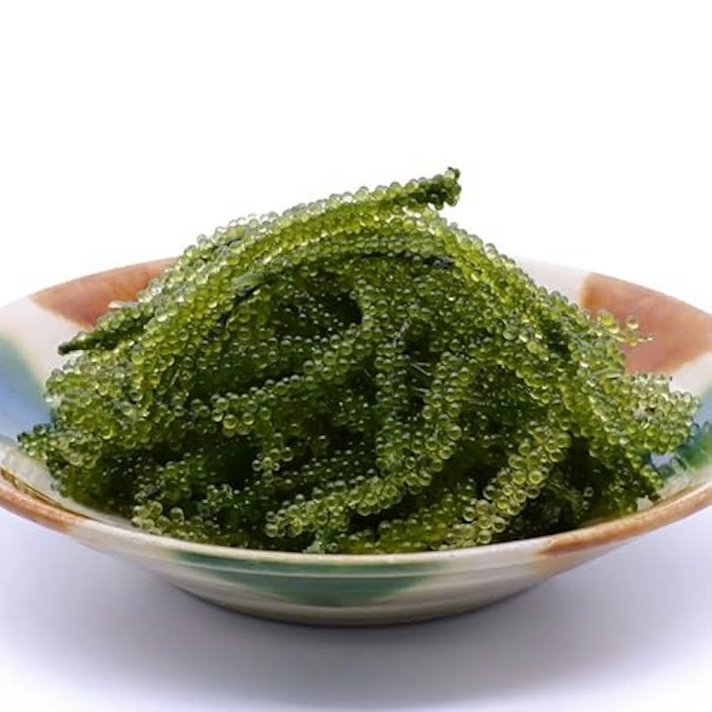 沖縄県産 海ぶどう 500g 1