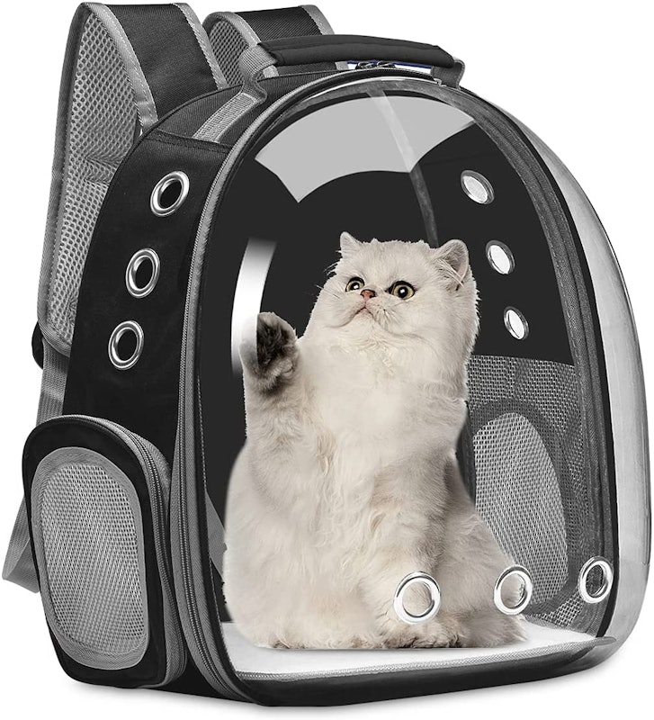 22年 猫キャリーリュックのおすすめ人気ランキング7選 Mybest 22年 猫キャリーリュックのおすすめ人気ランキング7選 Mybest