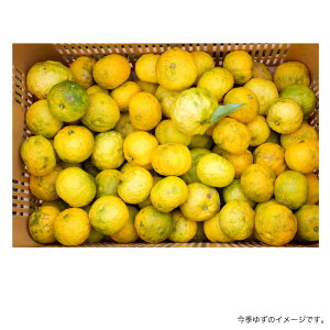 農薬・化学肥料不使用栽培の木頭柚子 2