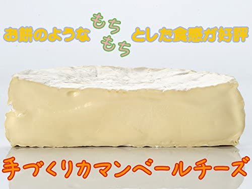 小林牧場物語 手づくりカマンベールチーズ 5