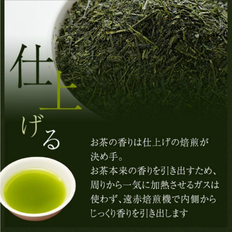 知覧茶 有機栽培茶 梅 7
