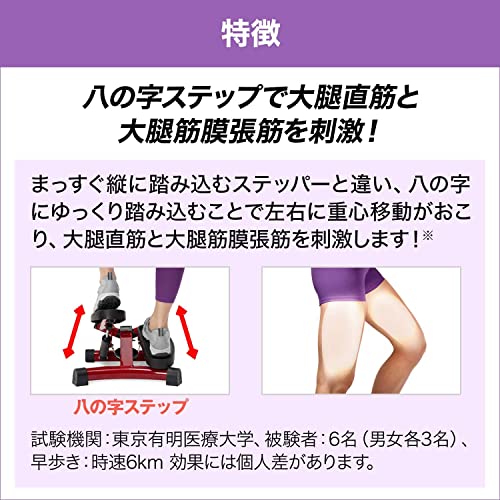 健康ステッパー ナイスデイ+専用ハンドル+サポートマットセット 3