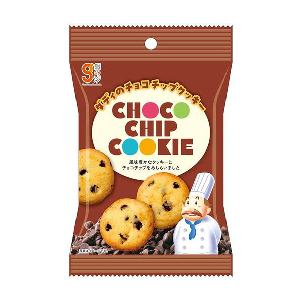 ダディのチョコチップクッキー 1