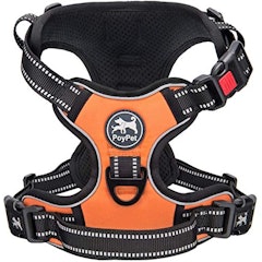 22年 小型犬用ハーネスのおすすめ人気ランキング28選 Mybest 22年 小型犬用ハーネスのおすすめ人気ランキング28選 Mybest