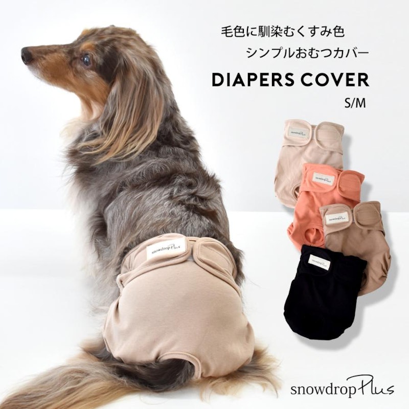 マナーパンツ 1