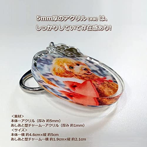 キーホルダー 5