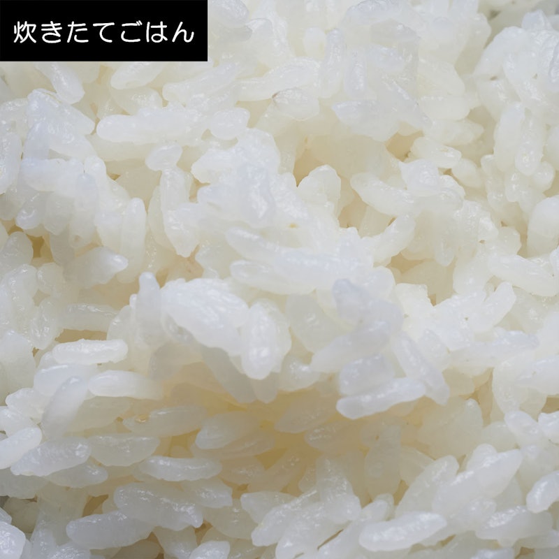 瞬熱真空釜 IHジャー炊飯器 9