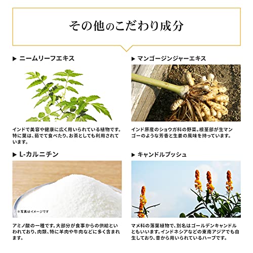 メタプラス ウエストマックス 5