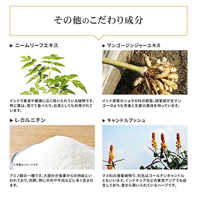メタプラス ウエストマックス 5