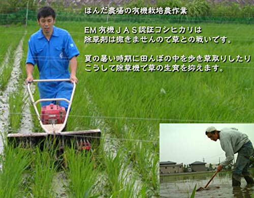 EM農法有機栽培米 水の精 6