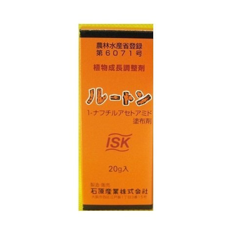 ルートン 1