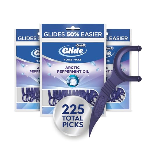 Oral-B Glide デンタルフロスピック 1