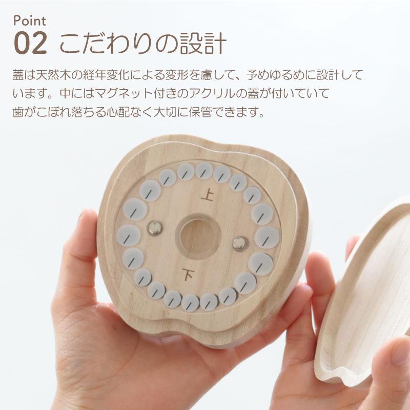 乳歯ケース 4
