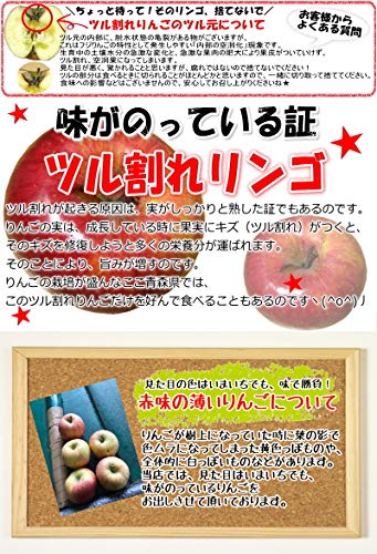 サンふじ 家庭用 7