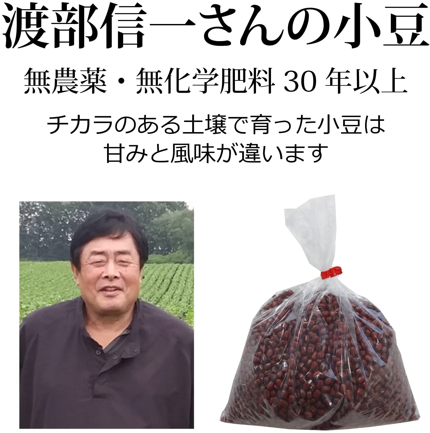 渡部信一さんの小豆 3