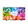 TVS REGZA 4K液晶テレビ 1