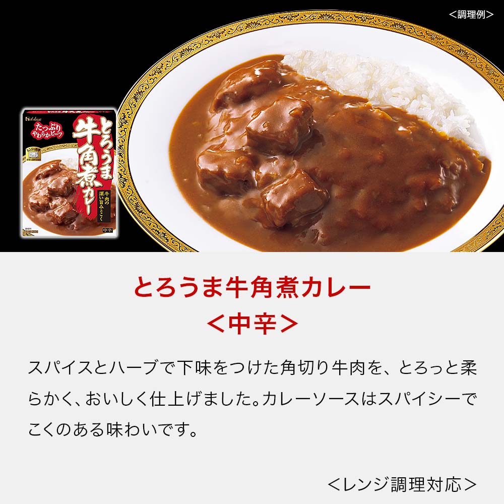 大人の時間を楽しむこだわりカレーセット 6