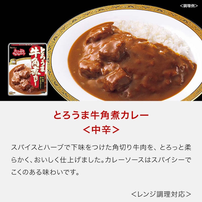 大人の時間を楽しむこだわりカレーセット 6