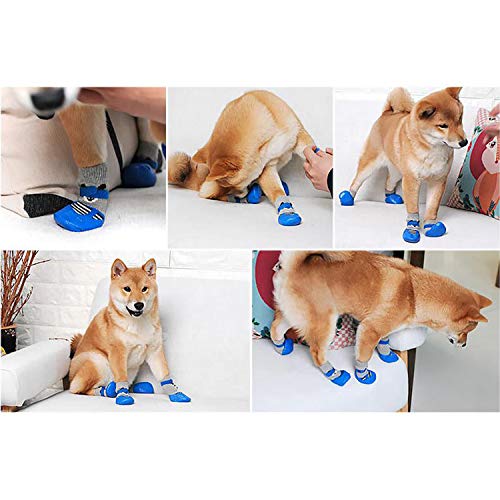 犬用ソックス 2