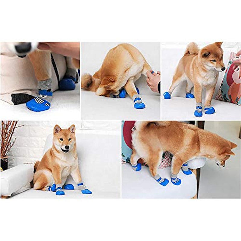 犬用ソックス 2