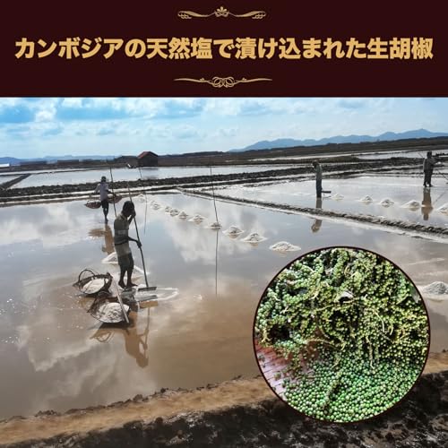 塩漬け生胡椒 6