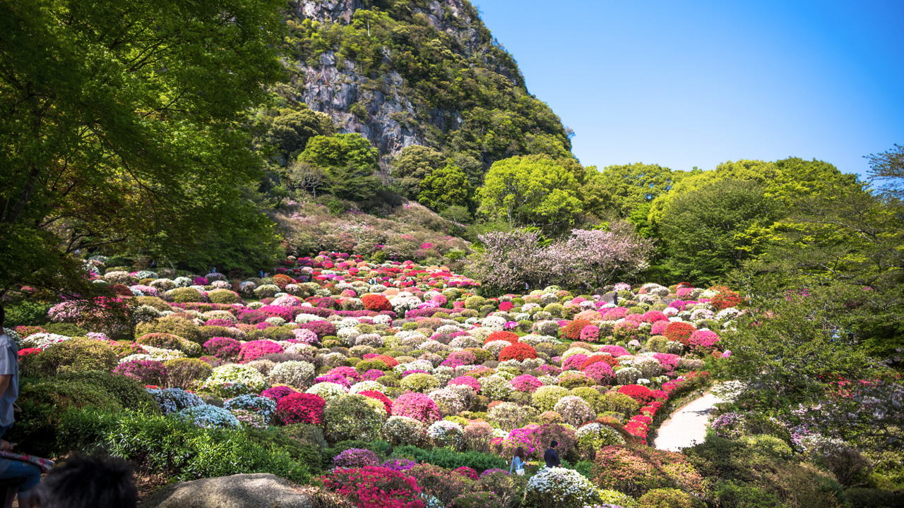 春休みにおすすめの国内旅行先人気ランキング選 Mybest
