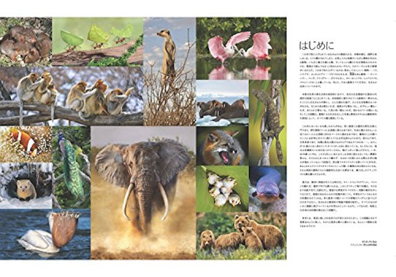 驚くべき世界の野生動物生態図鑑 2