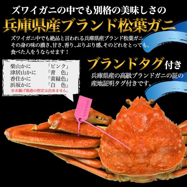 兵庫県産 松葉ガニ 2