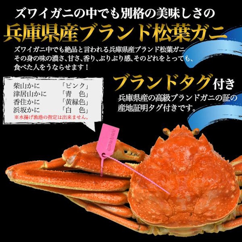 兵庫県産 松葉ガニ 2