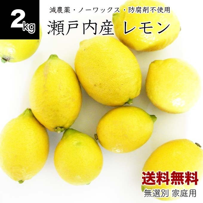 無農薬レモン 5kg サイズ不揃い 愛媛 中島産 ユーレカレモン 国産 訳