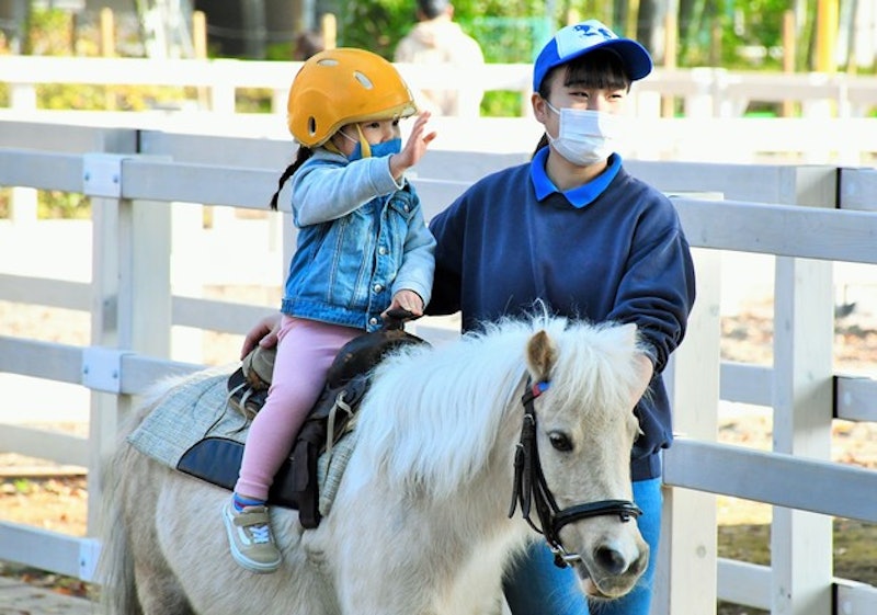 板橋こども動物園 2
