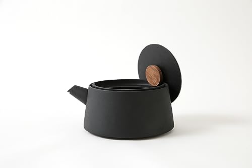 NEW tetu 南部鉄器 鉄瓶 3