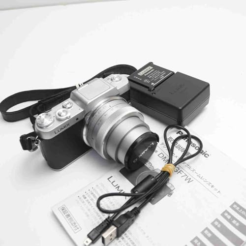 パナソニック LUMIX（ルミックス）のミラーレスのおすすめ人気