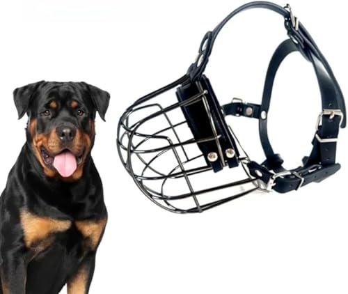 犬用口輪 1