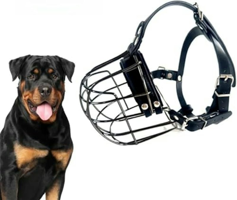 犬用口輪 1