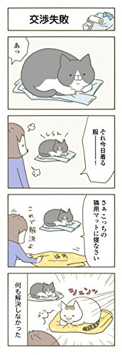 うちの猫がまた変なことしてる。  4